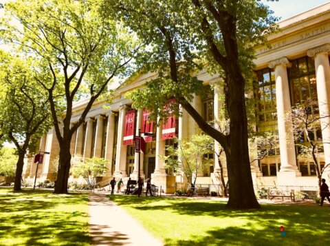 white university during daytime