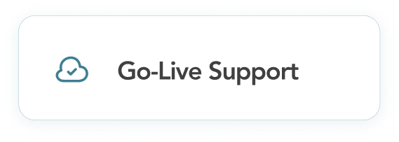 Go Live Support - AArete Go-Live Support