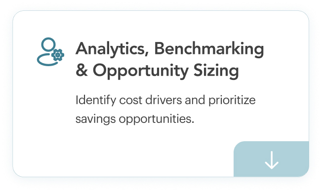 Analytics, Benchmarking & Opportunity Sizing. Identify cost drivers and prioritize savings opportunities