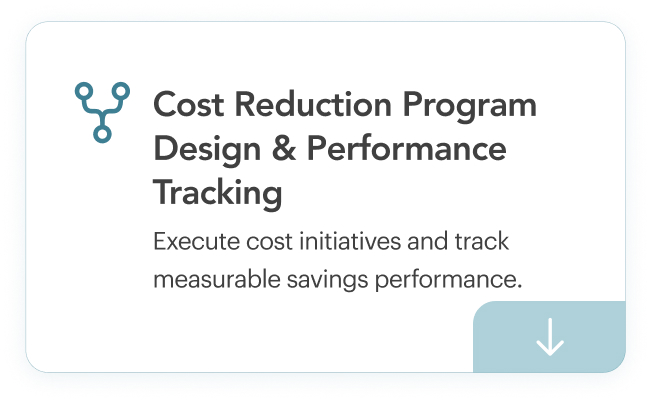 Cost Reduction Program Design & Performance Tracking. Execute cost initiatives and track measurable savings performance